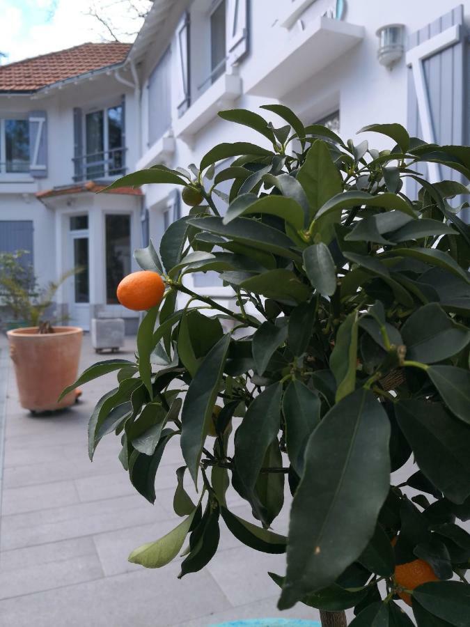Brevocean Chb Calme Cote Atlantique Bed & Breakfast Saint-Brévin-lʼOcéan Exterior foto